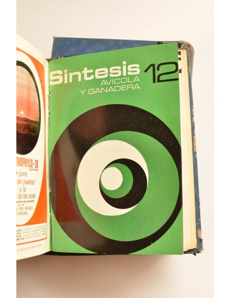 Síntesis avícola y ganadera . Año 1967 completo