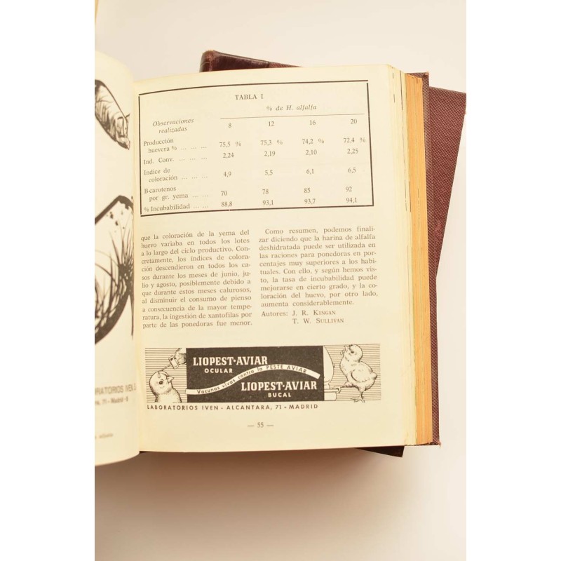 Síntesis avícola y ganadera. Año 1966 completo