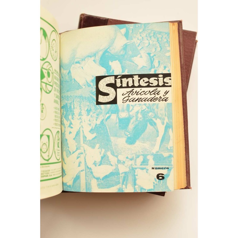 Síntesis avícola y ganadera. Año 1966 completo