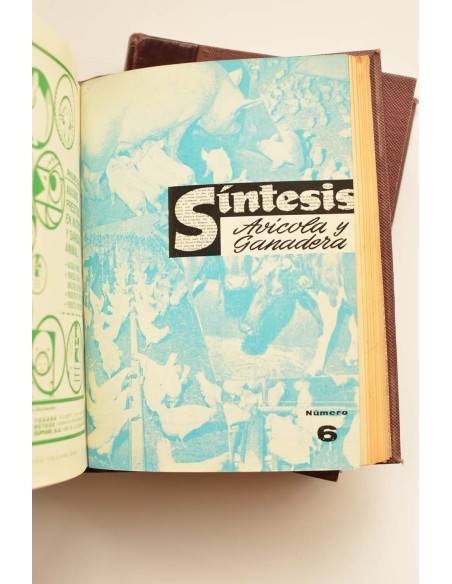 Síntesis avícola y ganadera. Año 1966 completo