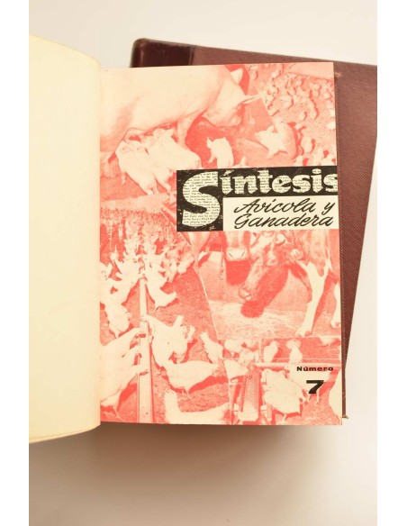 Síntesis avícola y ganadera. Año 1966 completo