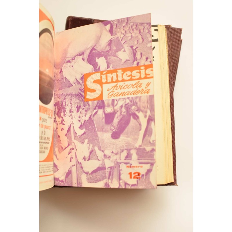 Síntesis avícola y ganadera. Año 1966 completo
