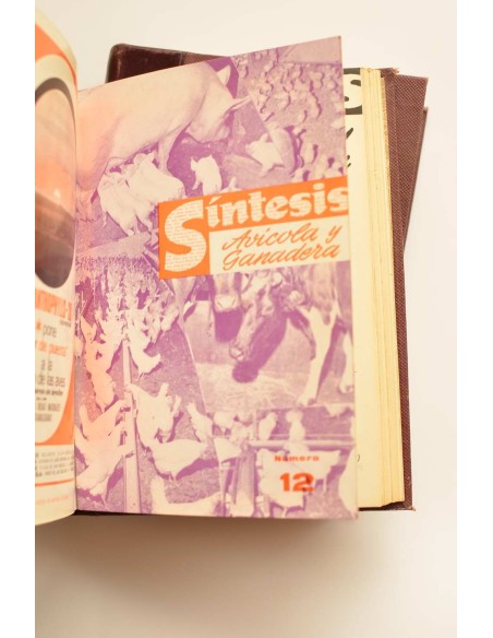 Síntesis avícola y ganadera. Año 1966 completo