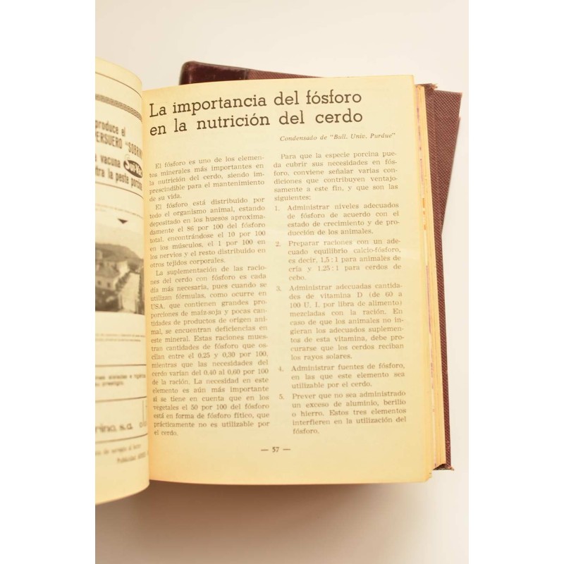 Síntesis avícola y ganadera. Año 1966 completo