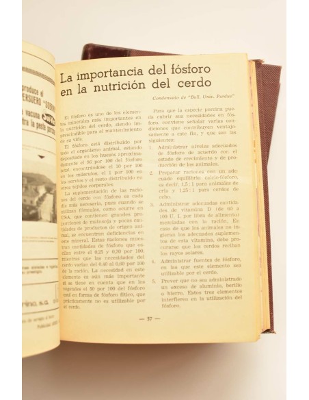 Síntesis avícola y ganadera. Año 1966 completo