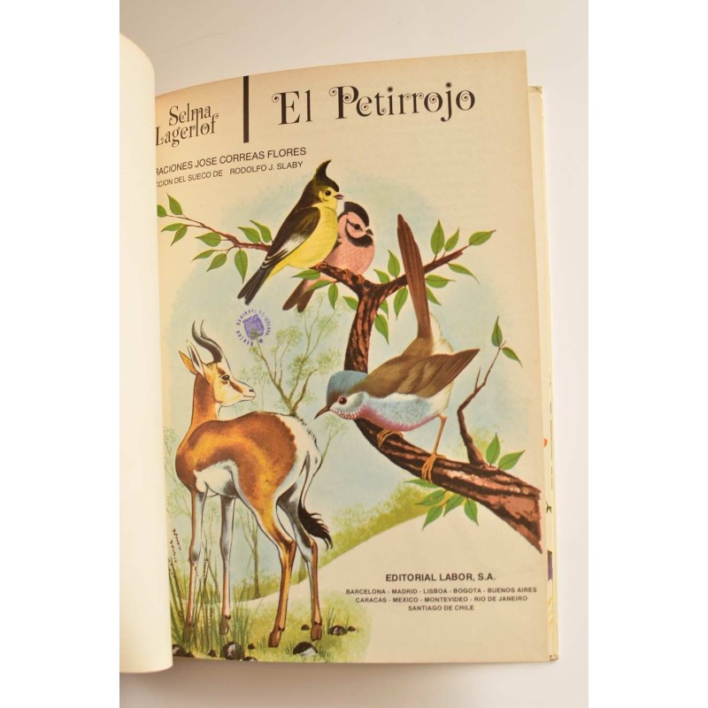 El petirrojo