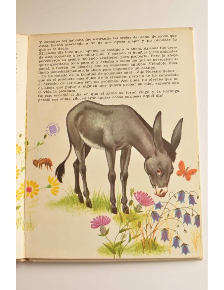 El petirrojo