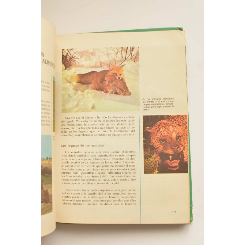 Consultor. Ciencias Naturales. 6º EGB. Libro de...
