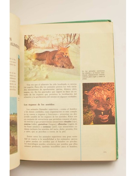 Consultor. Ciencias Naturales. 6º EGB. Libro de consulta