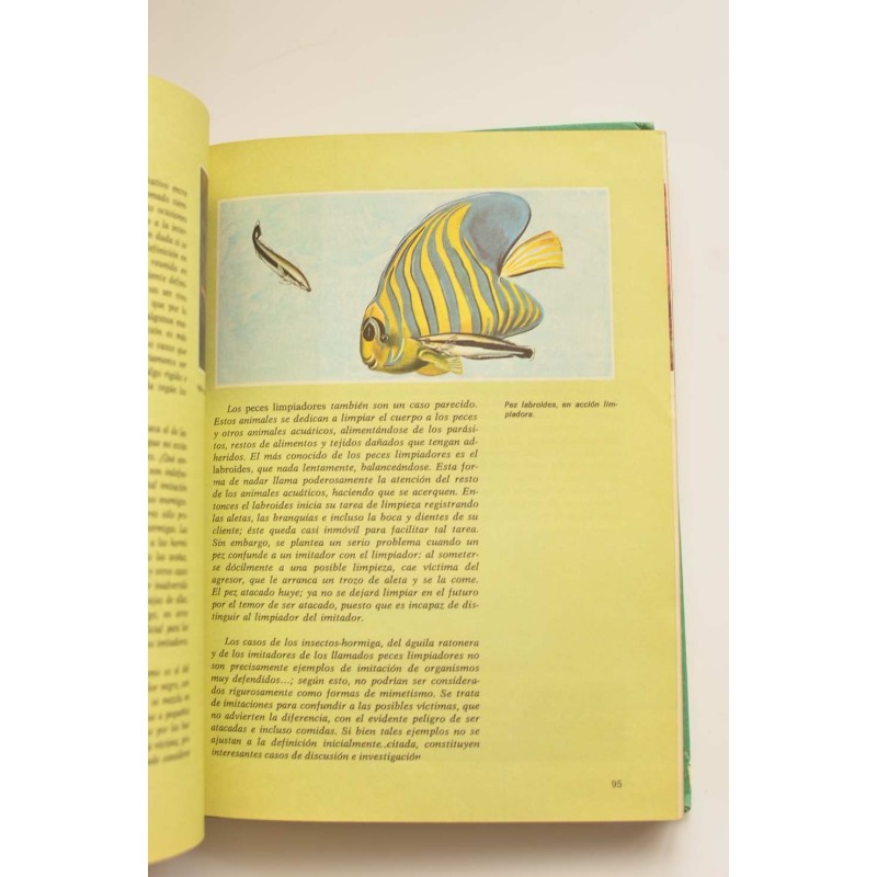 Consultor. Ciencias Naturales. 6º EGB. Libro de...