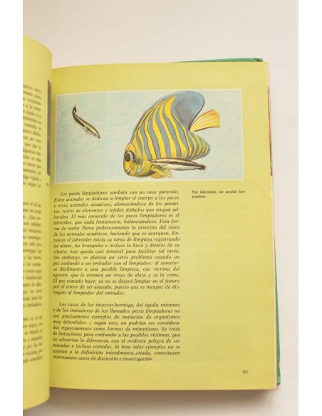 Consultor. Ciencias Naturales. 6º EGB. Libro de consulta