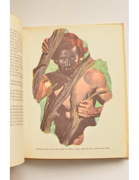 La Odisea (adaptación para niños)