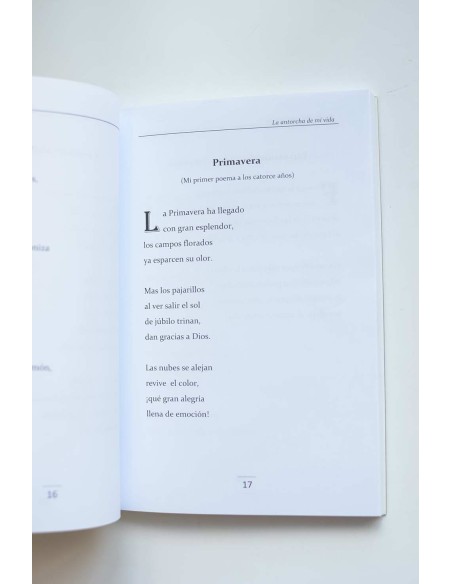 La antorcha de mi vida