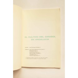 El cultivo del girasol en Andalucía 2