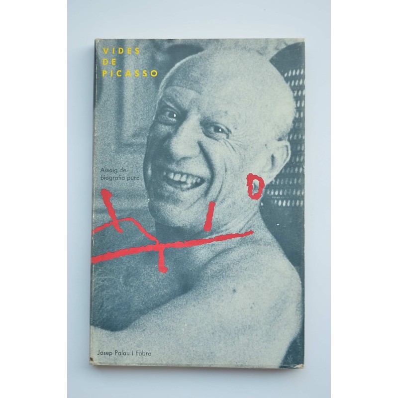 Vides de Picasso : assaig de biografía pura