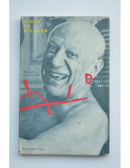 Vides de Picasso : assaig de biografía pura