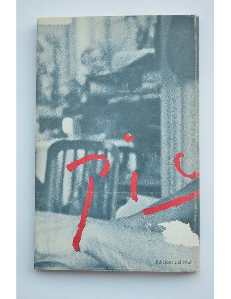 Vides de Picasso : assaig de biografía pura