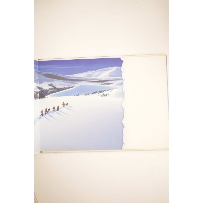 Ice Age. La edad del hielo