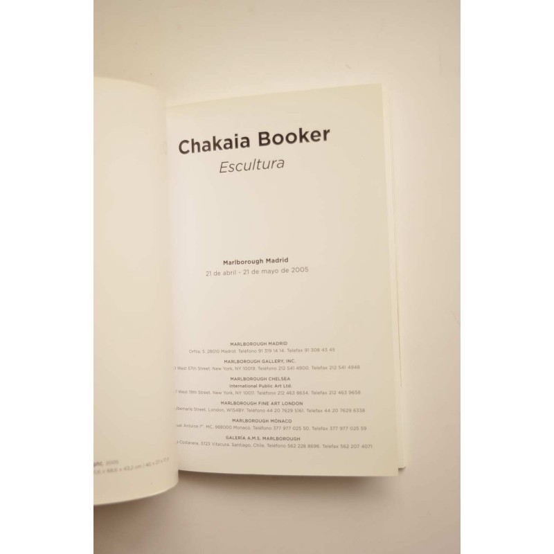 Chakaia Booker. Escultura