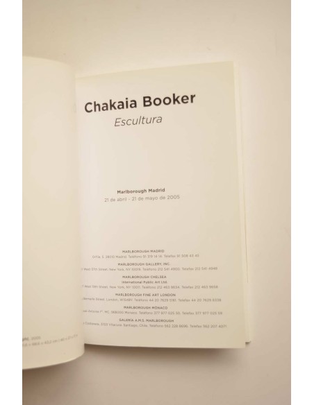 Chakaia Booker. Escultura