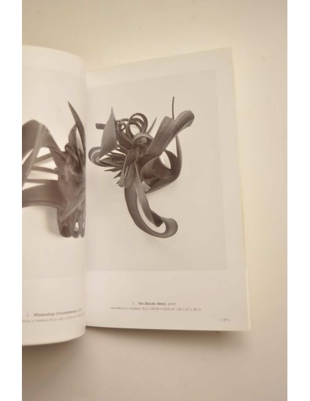 Chakaia Booker. Escultura