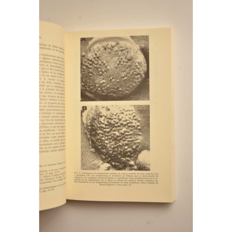 La depresión. Un problema crucial de nuestro...