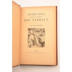 Demeures aquatiques et souterraines des animaux 2