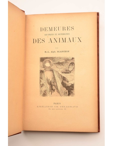 Demeures aquatiques et souterraines des animaux