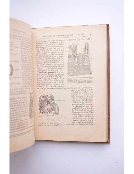 Lecciones de anatomía, fisiología e higiene