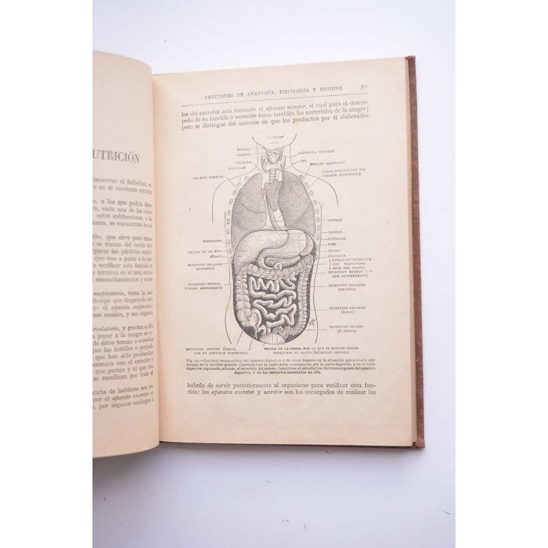 Lecciones de anatomía, fisiología e higiene