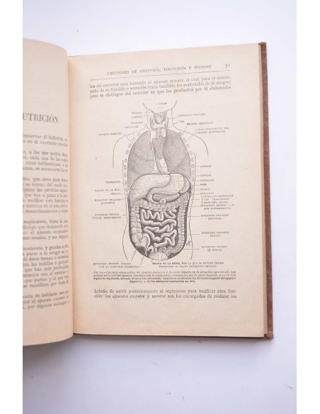Lecciones de anatomía, fisiología e higiene