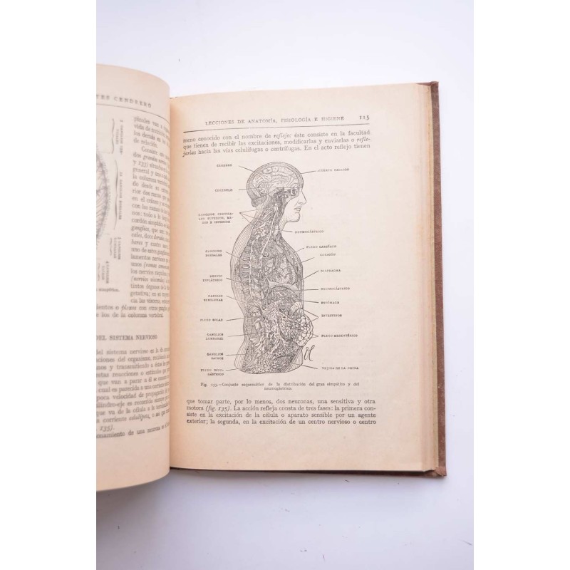 Lecciones de anatomía, fisiología e higiene