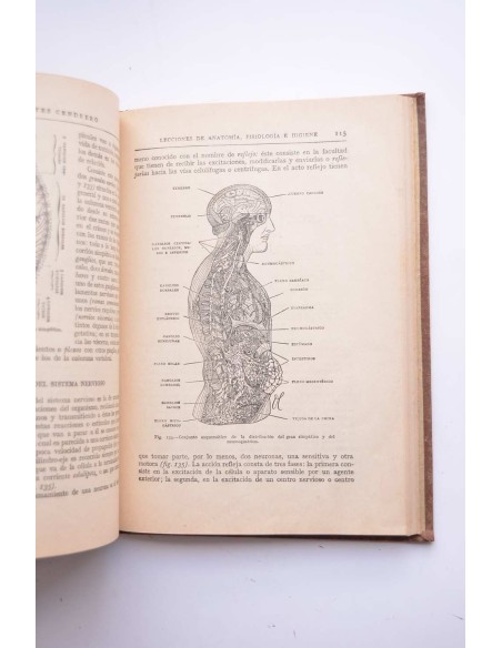 Lecciones de anatomía, fisiología e higiene