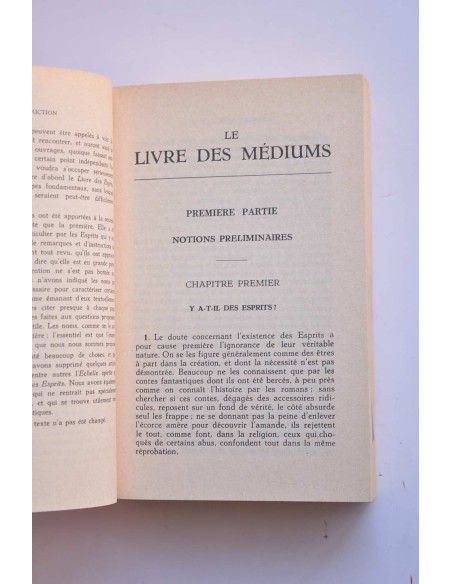 Le livre des médiums ou Guide des mediums et des evocateurs