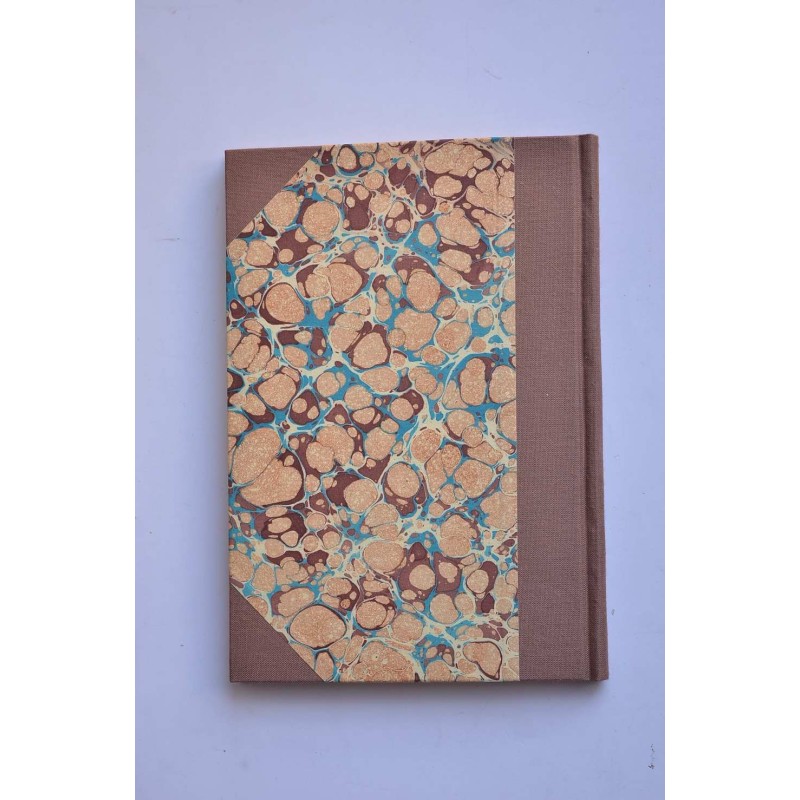 Noticias históricas y curiosas de Murcia