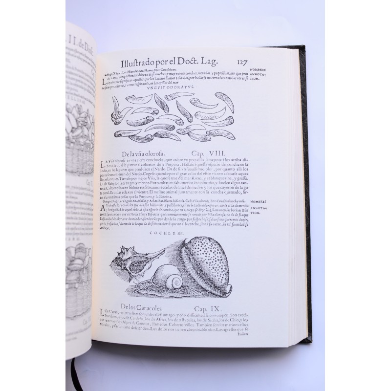 Acerca de la materia medicinal y de los venenos...