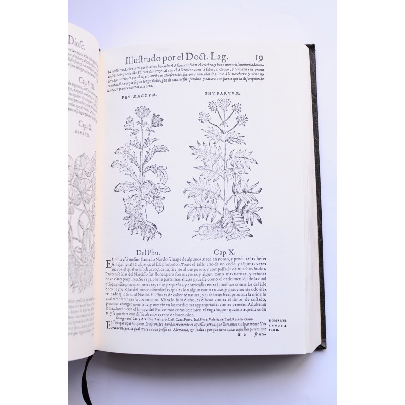 Acerca de la materia medicinal y de los venenos...