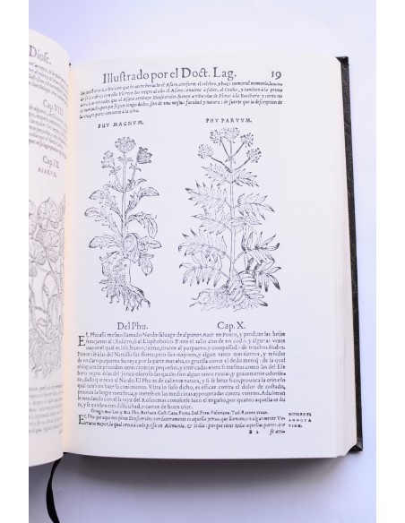 Acerca de la materia medicinal y de los venenos mortíferos. Parte I