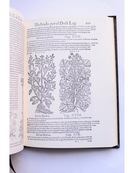Acerca de la materia medicinal y de los venenos mortíferos. Parte I