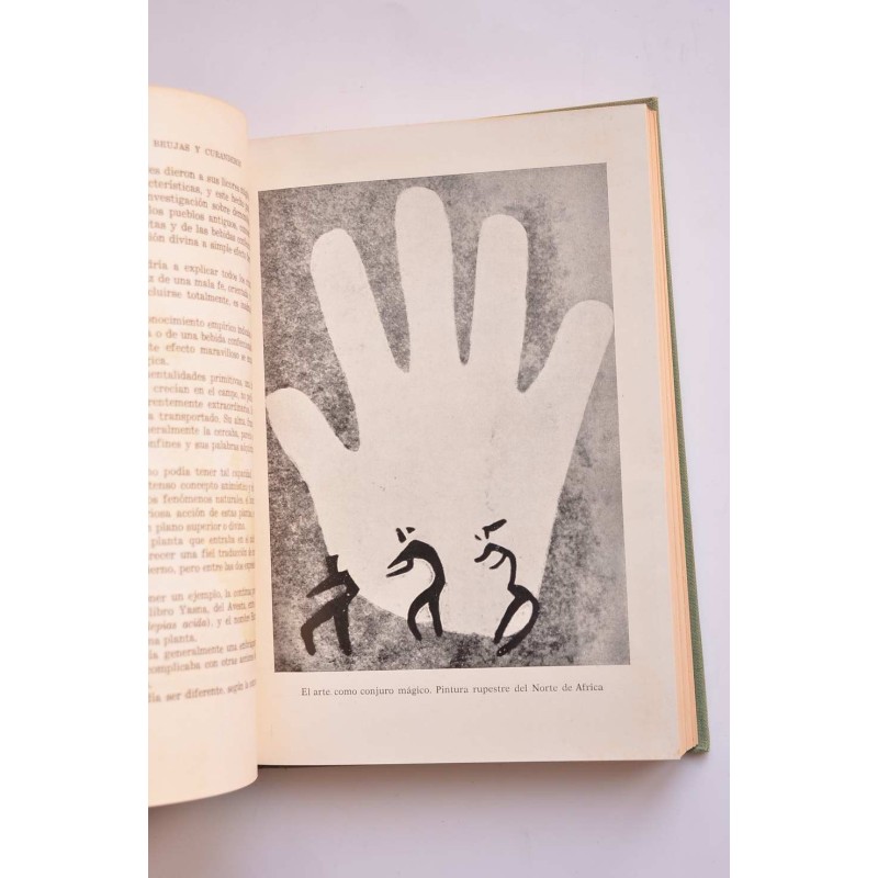 Demonios, brujas y curanderos