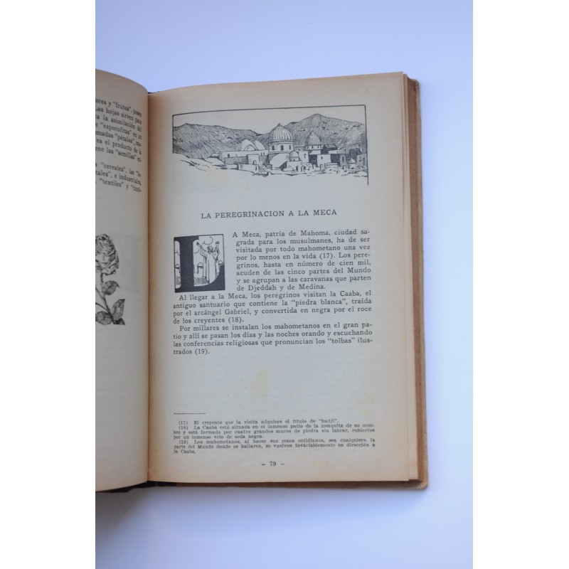 Progreso : lecturas históricas sobre el mundo,...