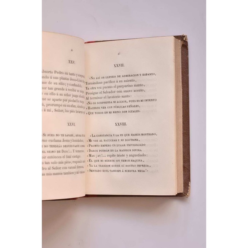 La muerte de Jesús : poema épico