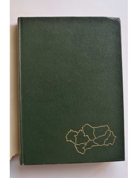 Historia de Andalucía I. De Tartessos al Islam ( - 1031)