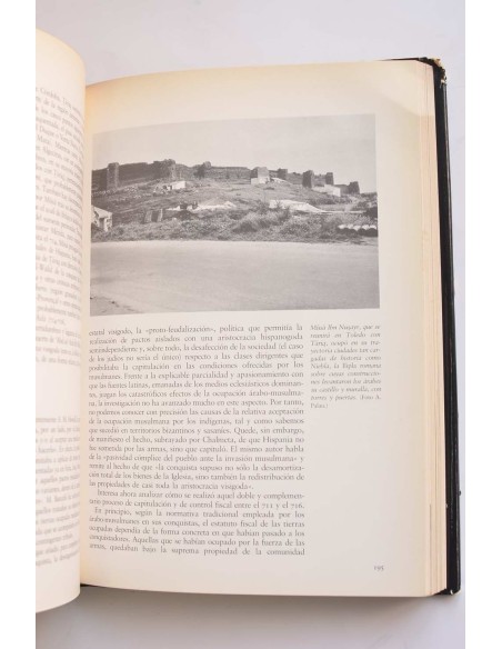 Historia de Andalucía I. De Tartessos al Islam ( - 1031)