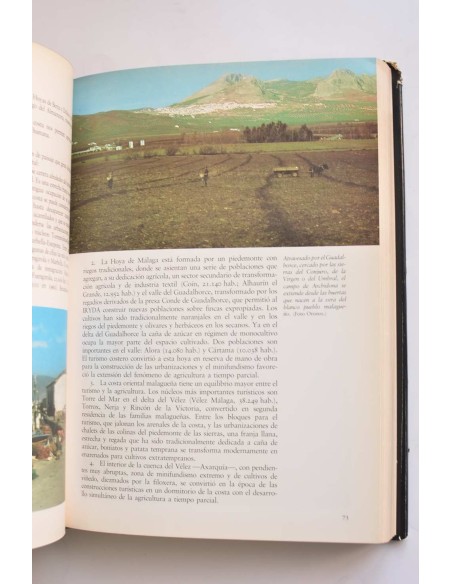 Historia de Andalucía I. De Tartessos al Islam ( - 1031)