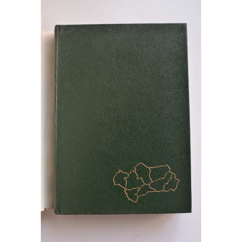 Historia de Andalucía VII. La Andalucía liberal...