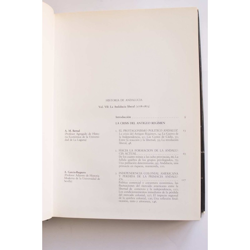 Historia de Andalucía VII. La Andalucía liberal...