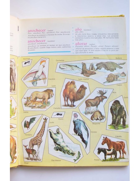 Mi primer Sopena. Diccionario infantil ilustrado