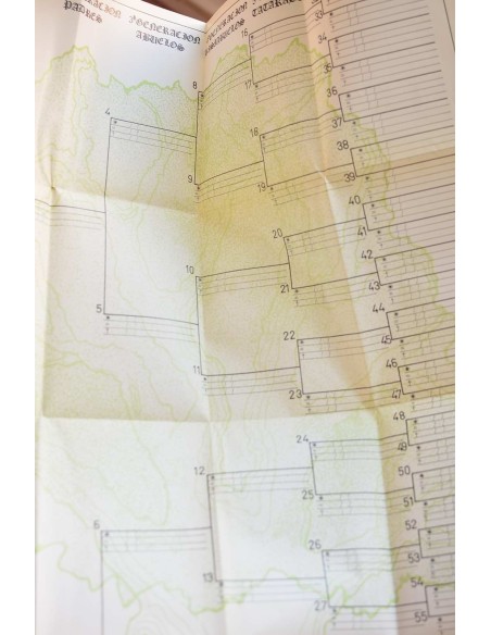 ¿Cómo hacer un árbol genealógico?