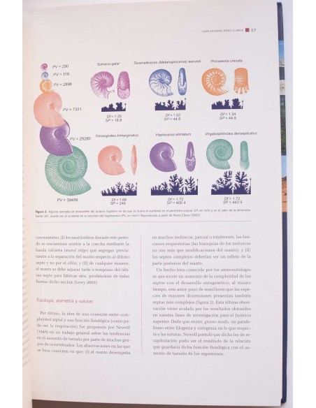 Paleoambientes y cambio climático